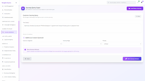 Journey Query Input - Customer journey optimization interface for defining analysis goals with context fields for segment targeting and friction point reduction